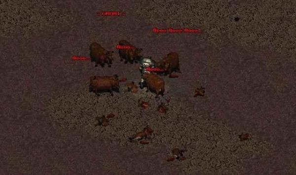 Fallout 2(Special Encounters) - 2